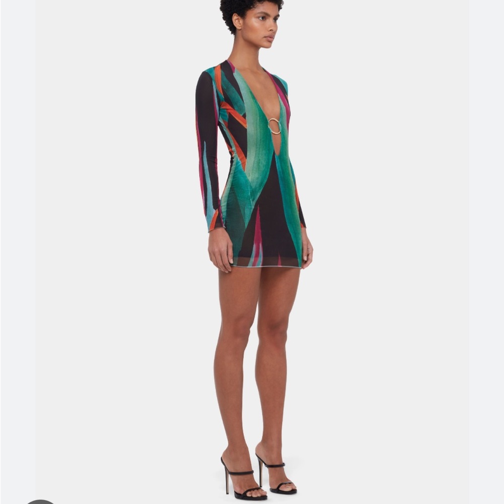 Louisa Ballou dress